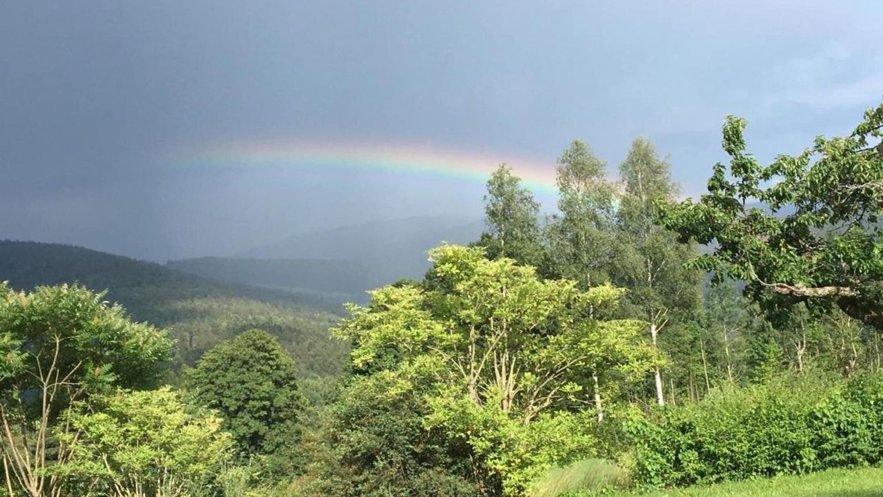 AreaSummer20KM AreaSummer20KM